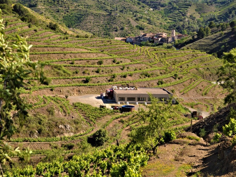 Visita Marco Abella's Wine & Culture