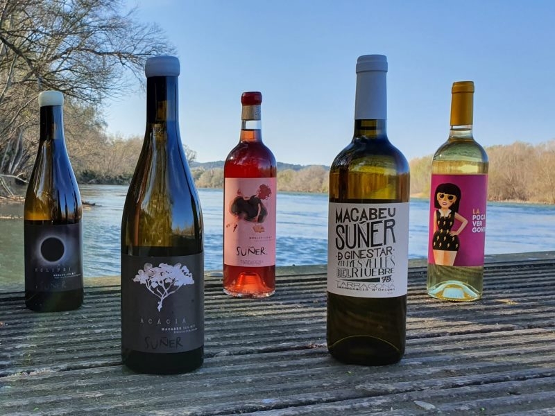 Wine and Kayac con 'Vins i Olis Suñer'