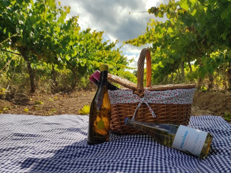 Picnic entre Vinyes Lafarinera Vins