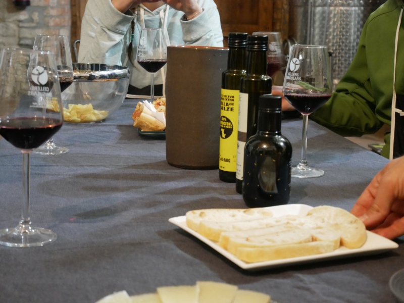 Visita i Degustació Maridatge Vins i Olis Suñer (1)