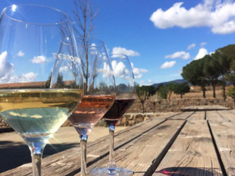 Visita Bodega Terra Remota y Degustación de Vinos 'Camino por las nubes' (1)
